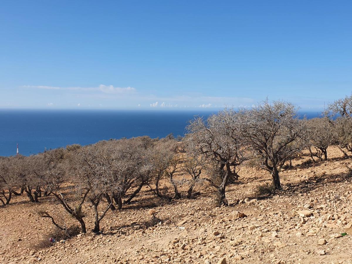 Villa Tafoukt تغازوت المظهر الخارجي الصورة
